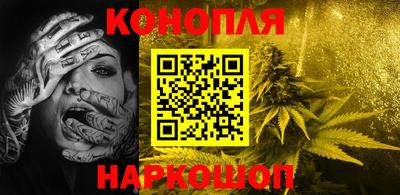 Альфа ПВП Кингисепп