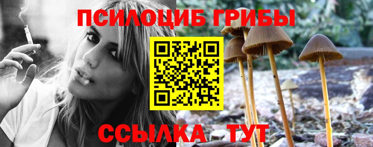 Северобайкальск  Галлюциногенные грибы мухоморы  Вход с VPN 